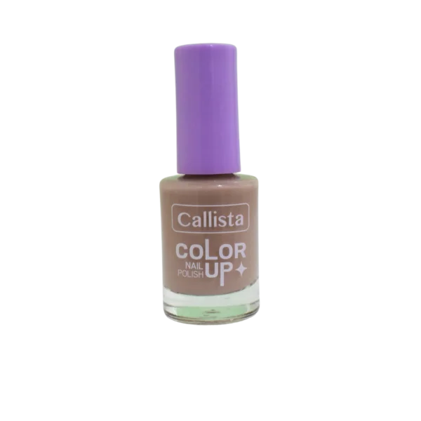 Callista Color Up Nail Polish 210